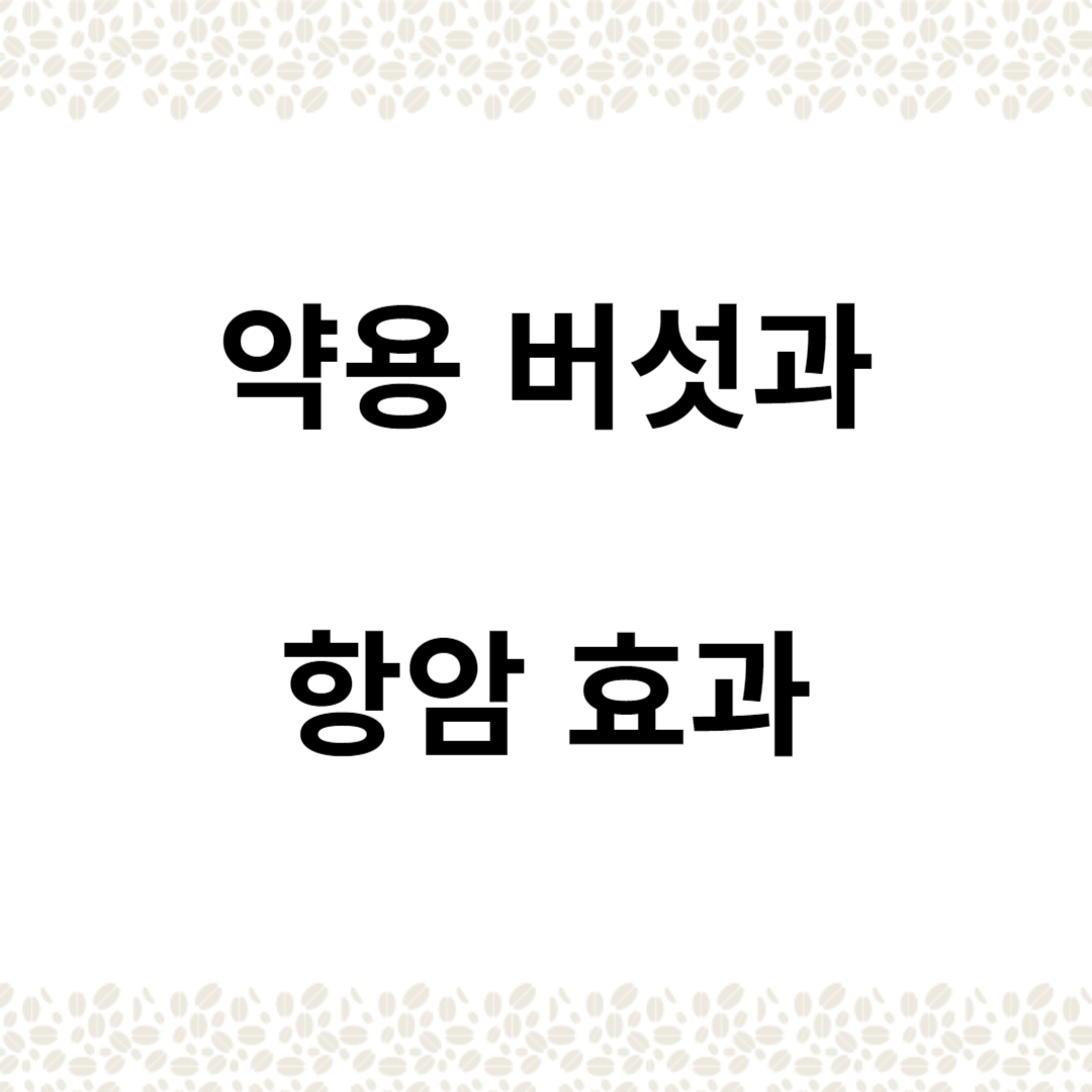 약용 버섯과 잠재적 항암 효과