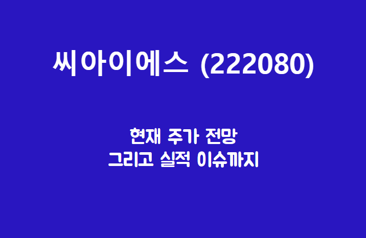  씨아이에스 (222080) 주가, 실적, 전망, 기업분석