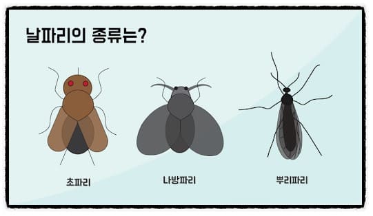 날파리 퇴치법