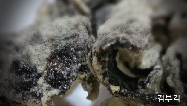  다이어트에 좋은 김부각 칼로리 궁금하시지요? 김부각 만드는법 먼저 알아보도록 하지요.