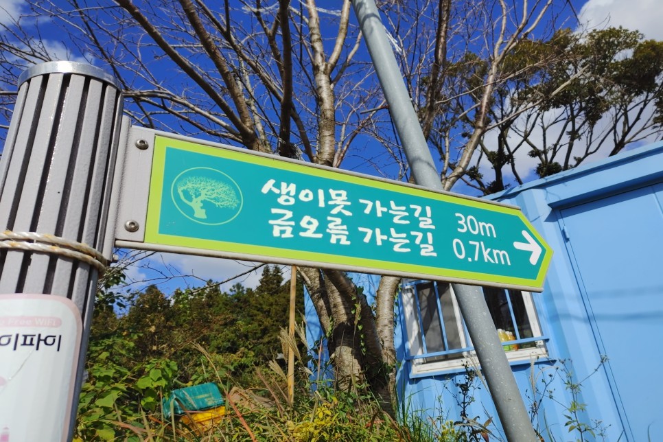 이효리 금악오름 (뮤비 배경) 23