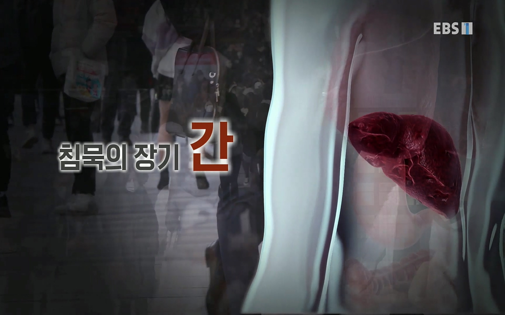 EBS 명의 헬스케어 - TV - 교육의 중심 EBS명의 15년 - 간, 완치에 도전하다.mp4_20220802_200623.881.jpg