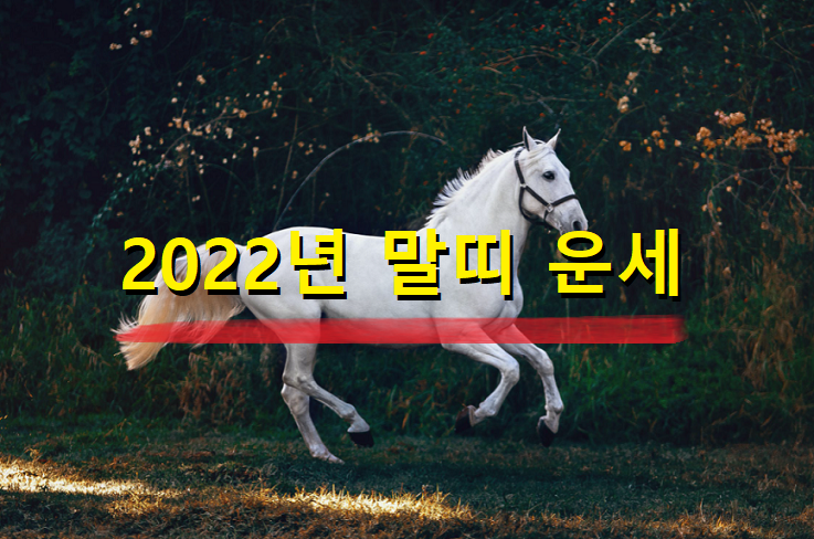  2022년 말띠 운세 21세, 33세, 45세, 57세, 69세 나이별 말띠 운세