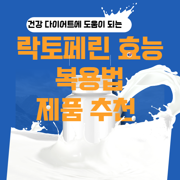  락토페린 효능 및 복용법 / 다이어트 락토페린 제품 추천