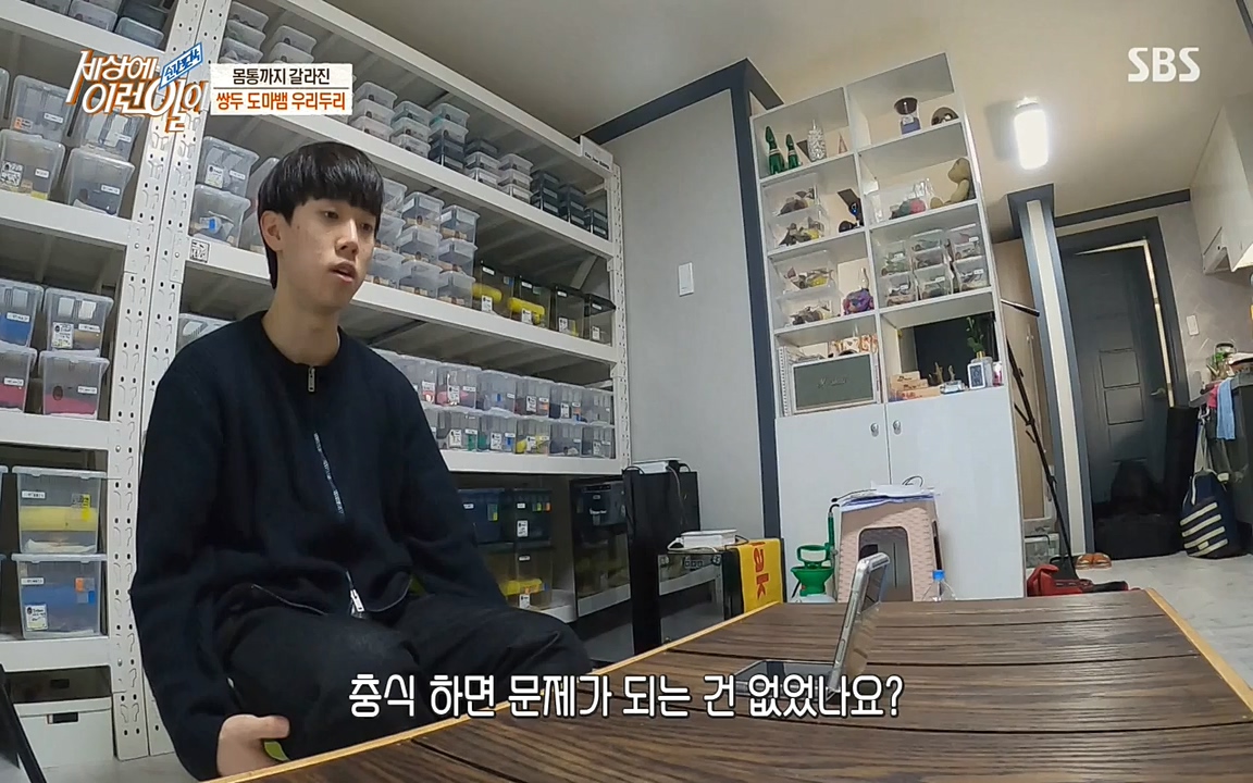 순간포착 세상에 이런일이.E1174.220406p-NEXT.mp4_20220406_174445.963.jpg