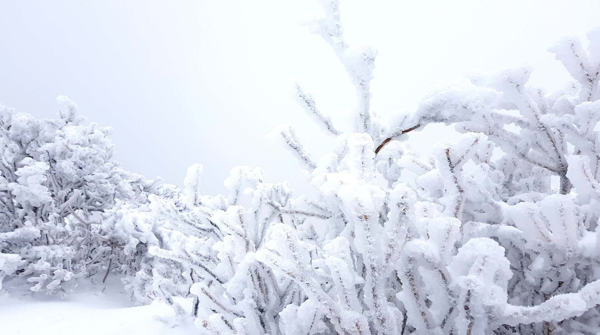 울산 가지산 설경