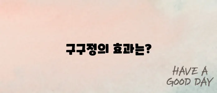 구구정 성분 효능 분석｜복용 전 알아야 할 주의사항