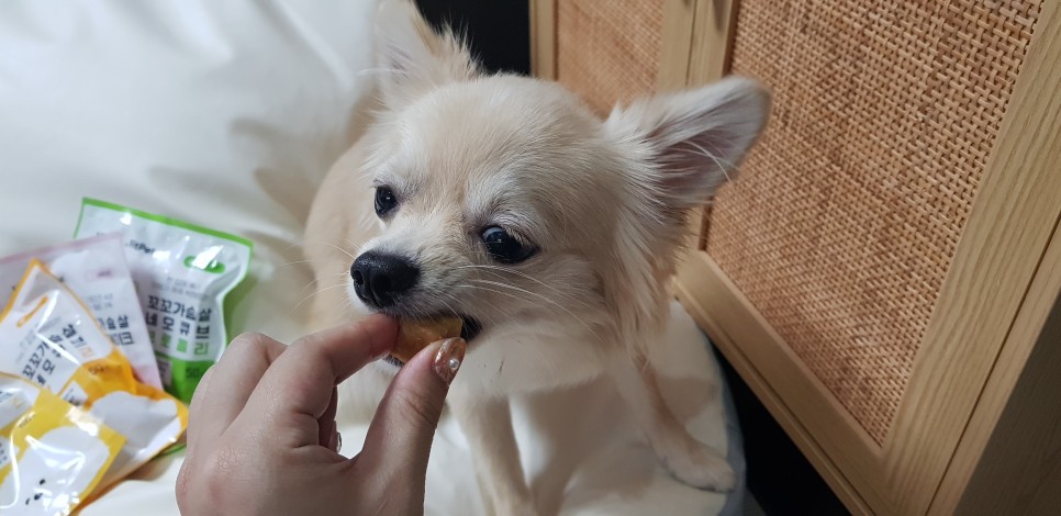 [강아지간식]허닭x핏펫몰 꼬꼬가슴살 맛있는 냄새로 11