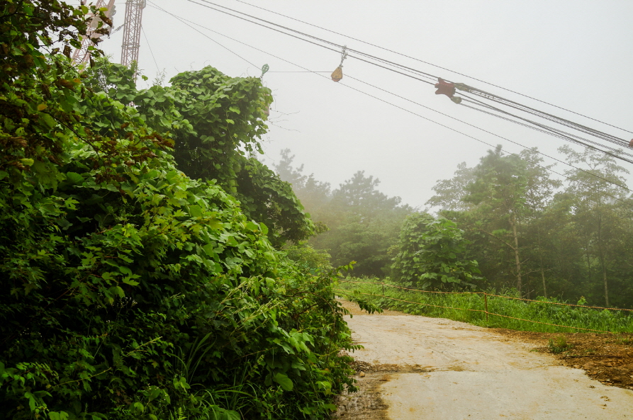 한국 명산 충남 금산 서대산 등산 mountain hiking