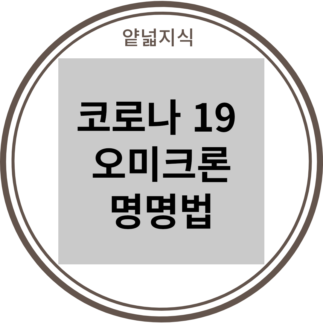  [코로나19] 오미크론 변이 (BA.5)까지 변이 종류
