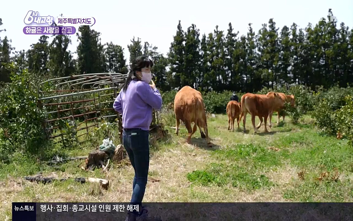 6시 내고향.E7523.220421p-NEXT.mp4_20220507_181106.623.jpg