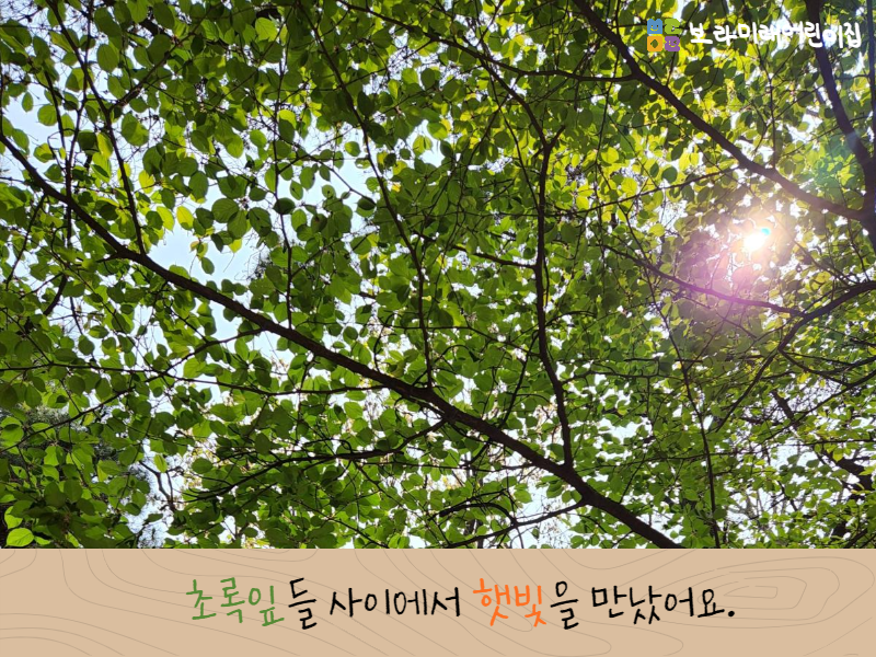미래숲어린이집 이미지