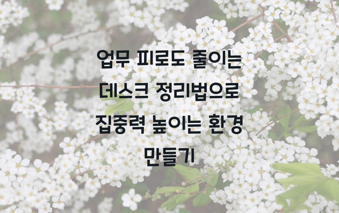  업무 피로도 줄이는 데스크 정리법, 집중력 높이는 환경 만들기