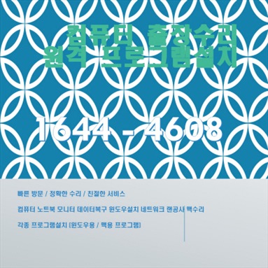  포천 화현면에서의 프로페셔널한 출장 컴퓨터 수리 및 프로그램 설치 서비스