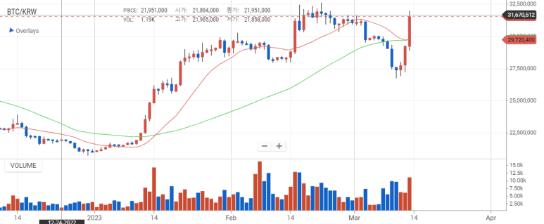 비트코인 20% 상승