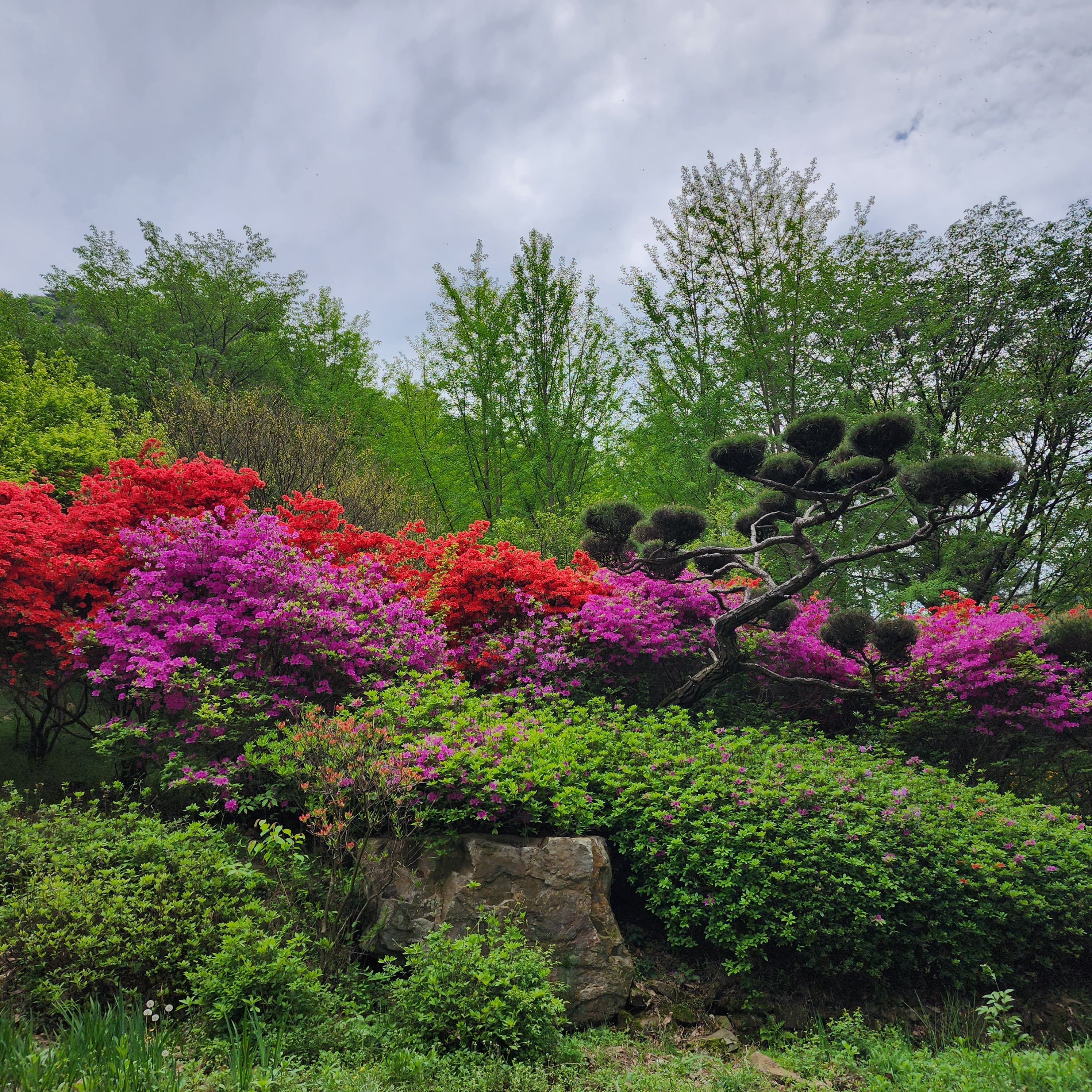 화산꽃동산