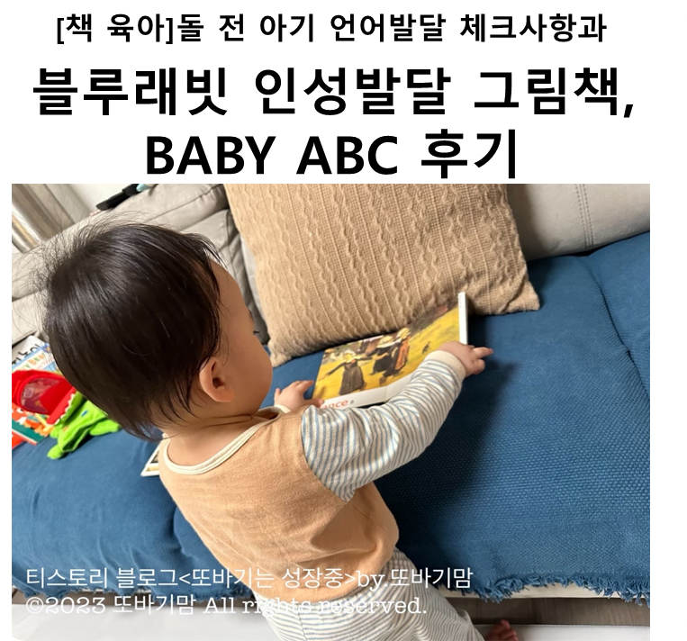  [책 육아] 돌 전 아기 언어 발달 사항과 돌 전 아기가 읽기 좋은 블루래빗 인성 발달 그림책 및 BABY ABC