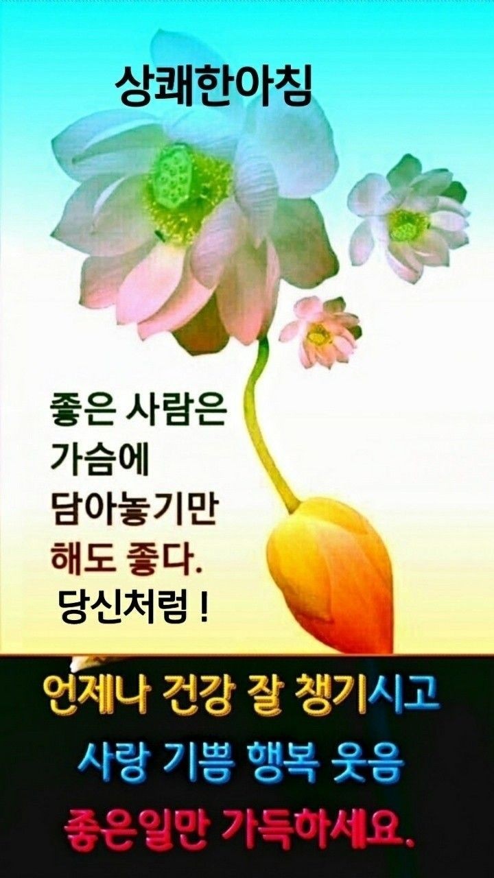 인심 이미지