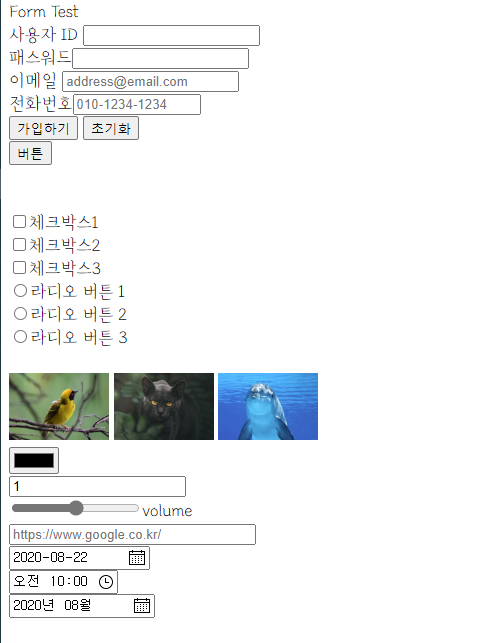  HTML5 기초 | 입력 양식 form 태그 input 태그 type 속성