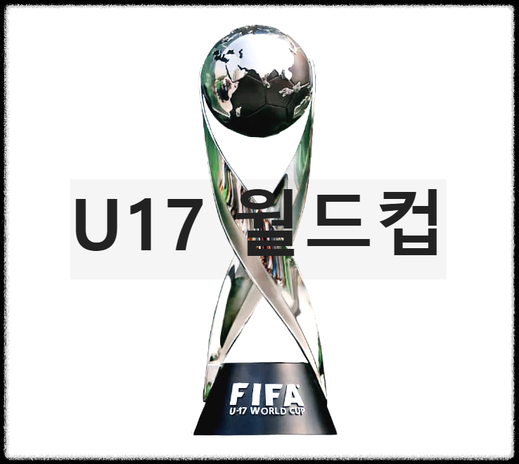  U17 월드컵 : 17세 이하 축구 선수가 참가하는 FIFA 주관 국가 대항전