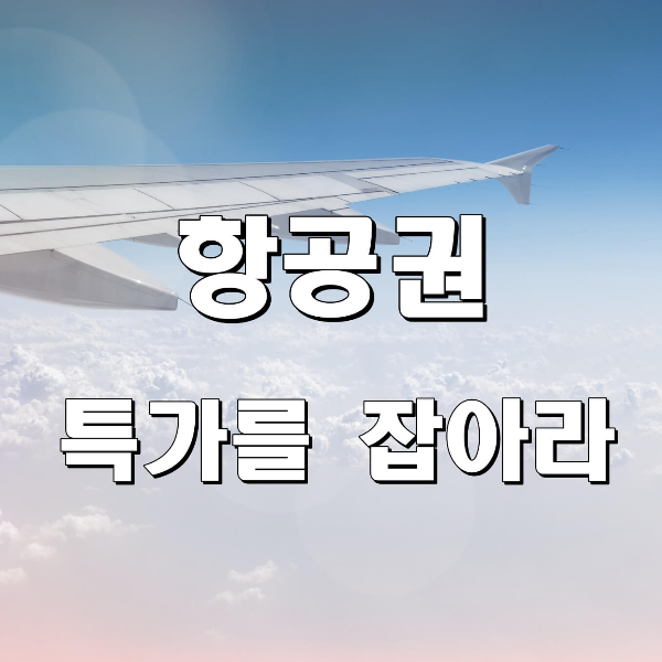 항공권 특가를 잡아라_썸넨일