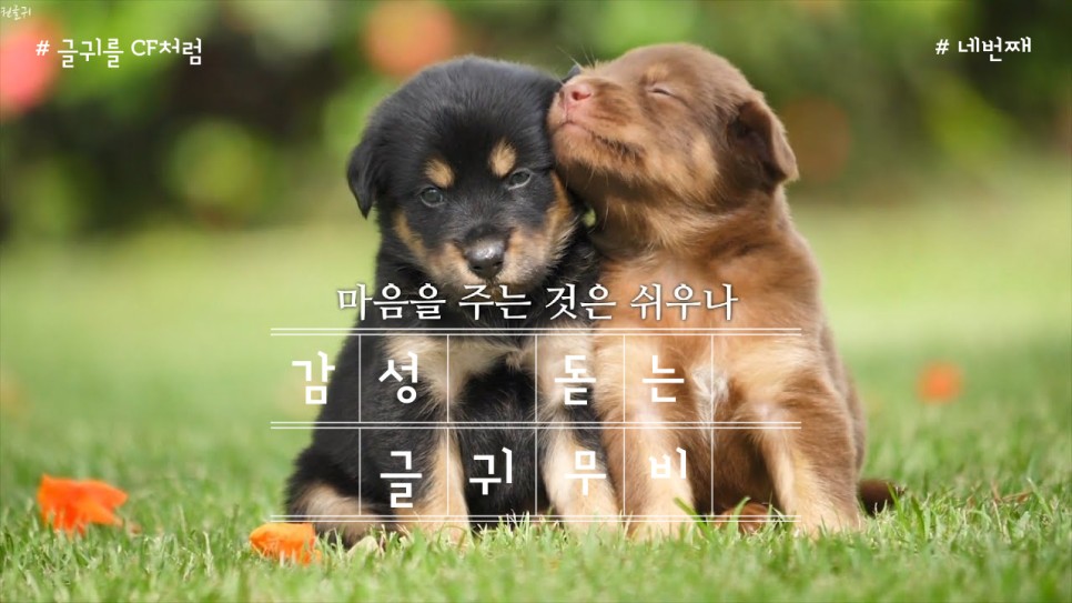  인생에 도움되는 글귀 - 주기는 쉬우나 되받기는 힘들다