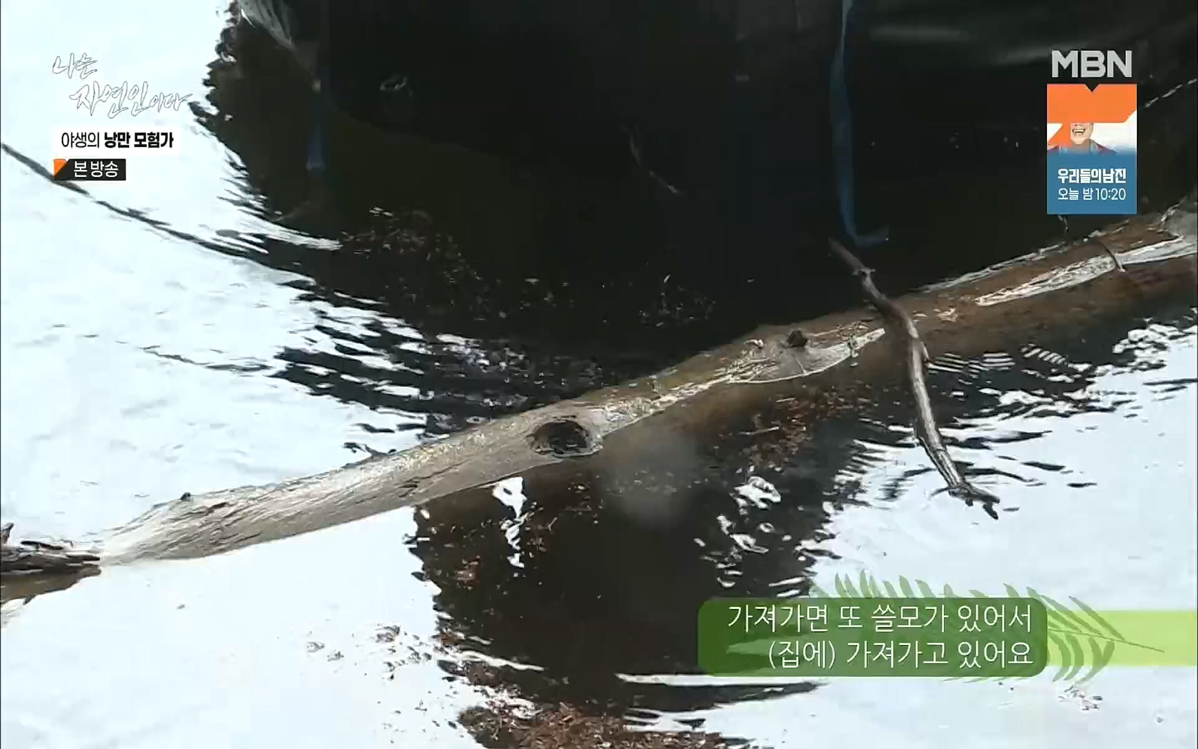 나는 자연인이다.E520.220921p.H264-F1RST.mp4_20220922_202735.507.jpg