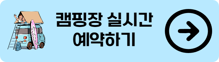 캠핏 요기는 캠핑장 실시간 예약하기