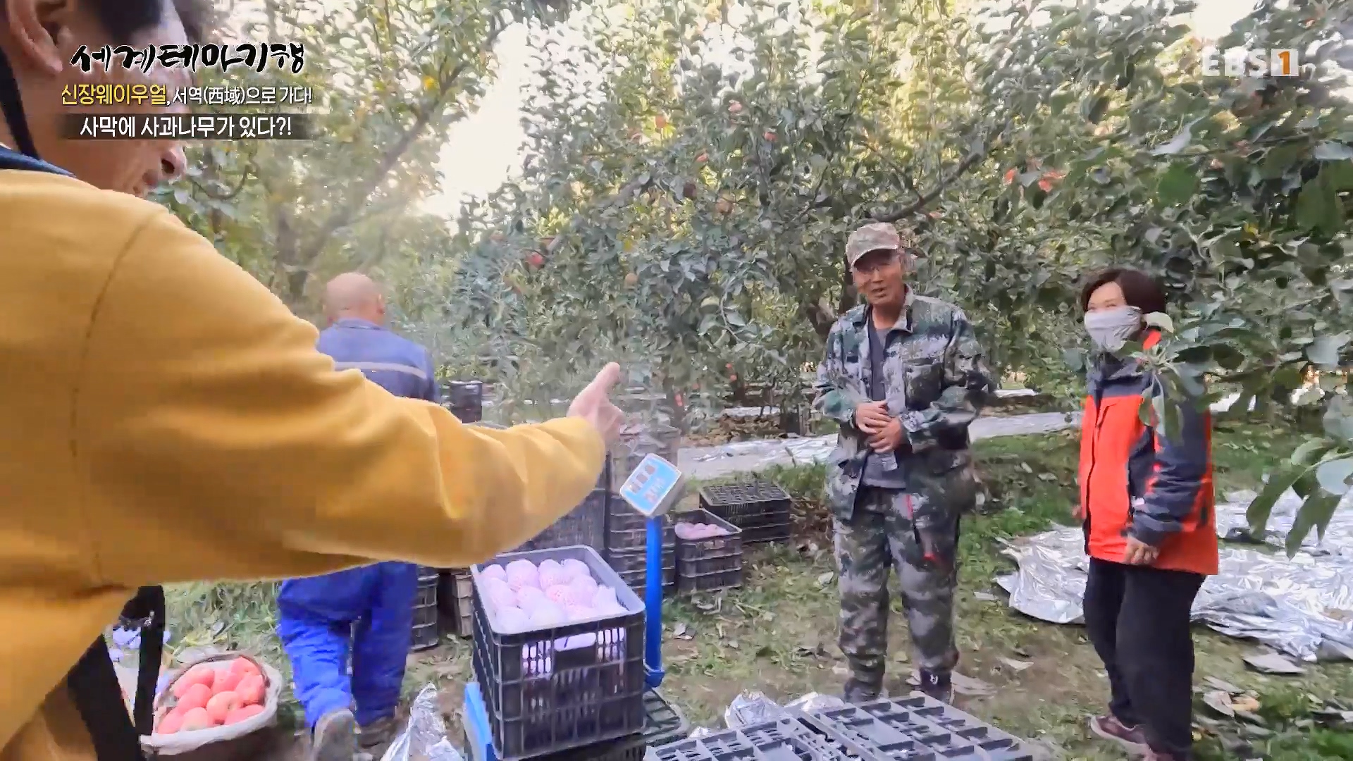 세계테마기행 240103 신장웨이우얼, 서역(西域)으로 가다! -가자! 타클라마칸으로0p.mp4_20240710_203154.846.jpg