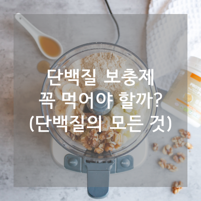 단백질보충제메인