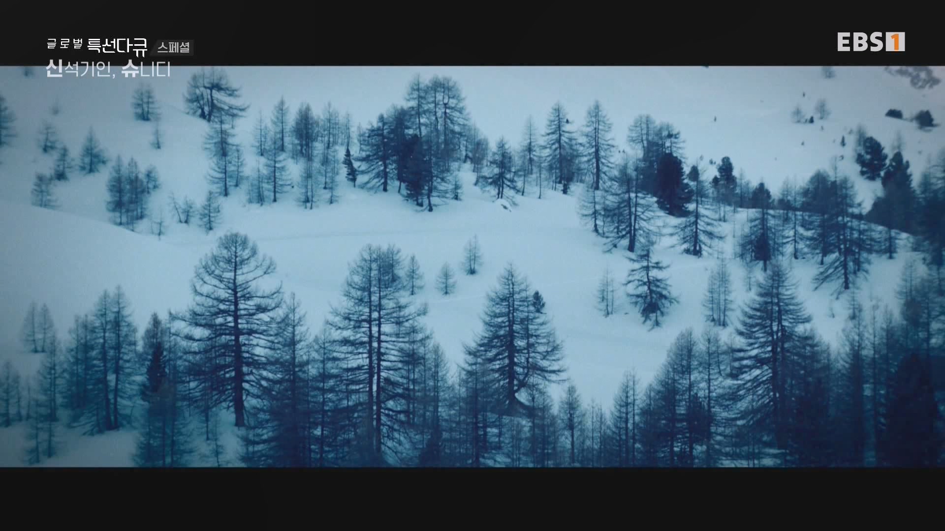 [다큐 스페셜] 신석기인, 슈니디.mp4_20230820_110534.127.jpg