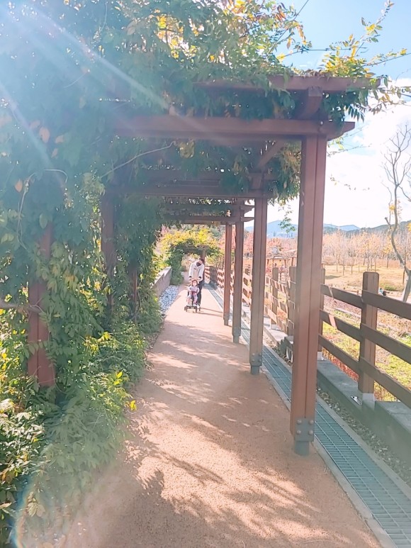 #부산 아이와가 볼만한 바다 운대수목원 20