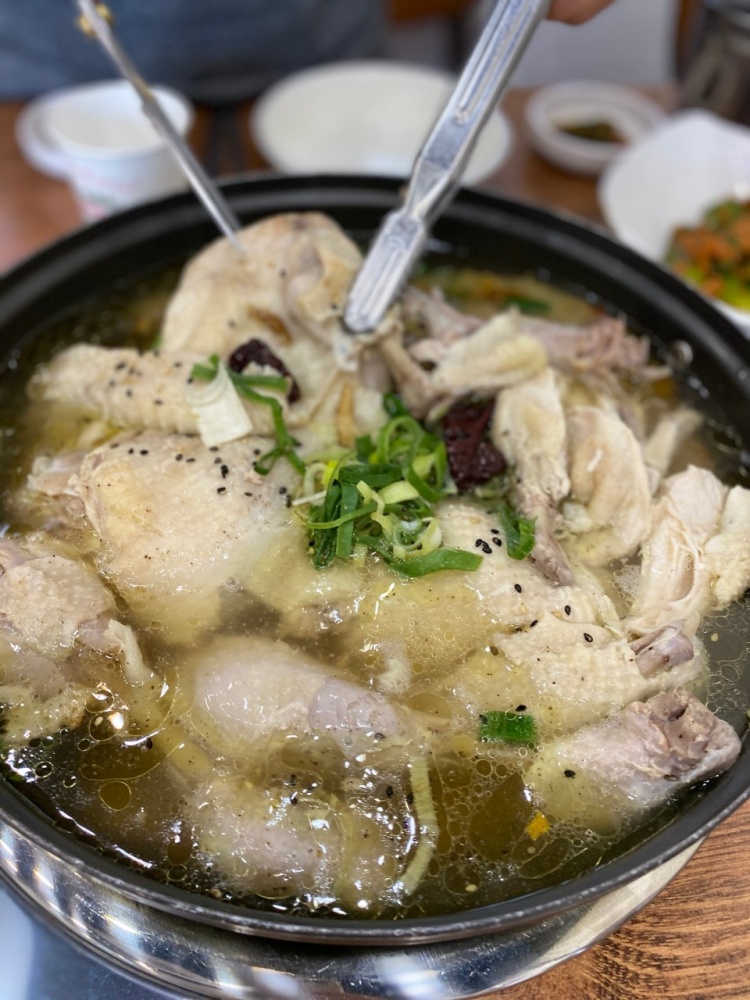  생방송 투데이 보고 먹고 즐기고! 3GO 성남 삼계탕 닭백숙 맛집 여행
