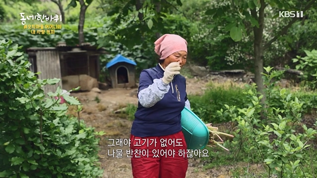 동네 한 바퀴.E228.230618p-NEXT.mp4_20230621_213525.581.jpg