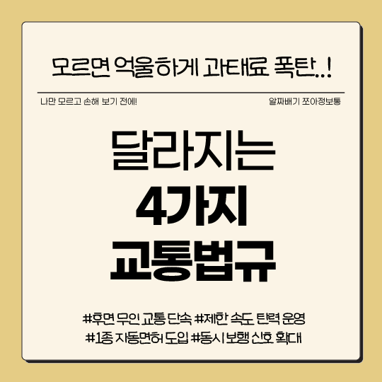 경찰청 교통법규 정책 과태료 썸네일