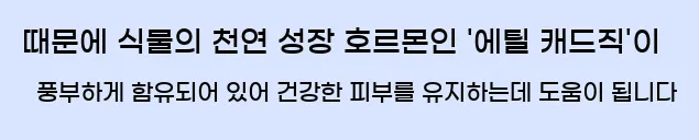  때문에 식물의 천연 성장 호르몬인 '에틸 캐드직'이 풍부하게 함유되어 있어 건강한 피부를 유지하는데 도움이 됩니다