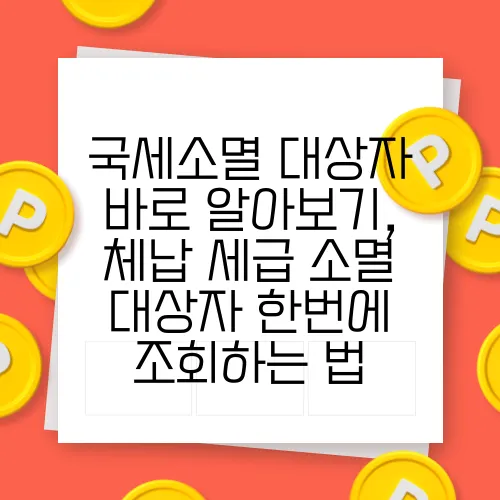 국세소멸 대상자 바로 알아보기, 체납 세급 소멸 대상자 한번에 조회하는 법