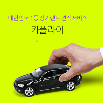 카플라이 바로가기