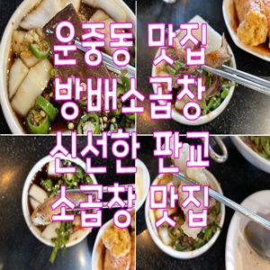  운중동 맛집 방배소곱창 신선한 판교 소곱창 맛집