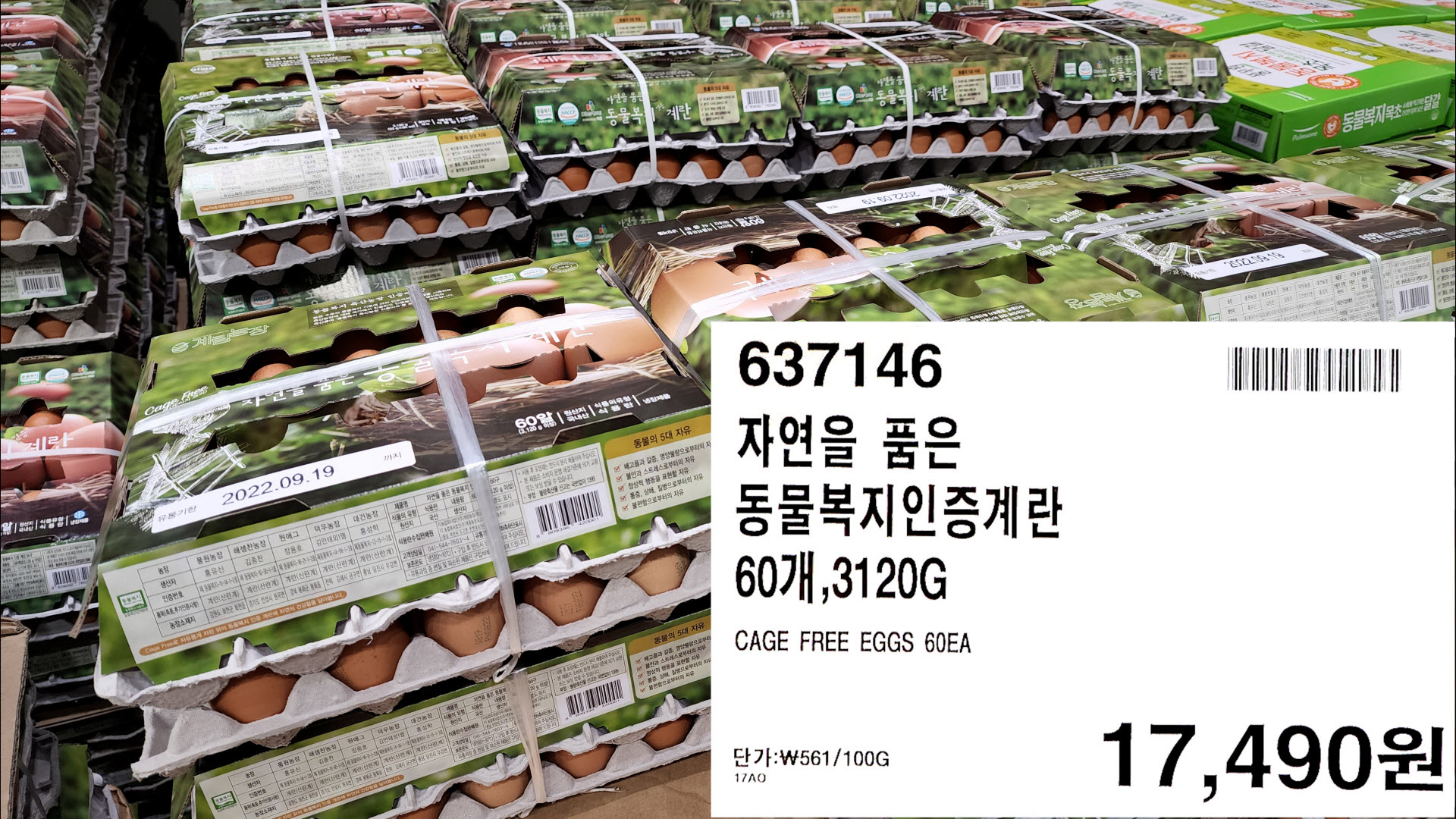 동물복지인증계란
60개,3120G
CAGE FREE EGGS 60EA
단가:₩561/100G
17,490원