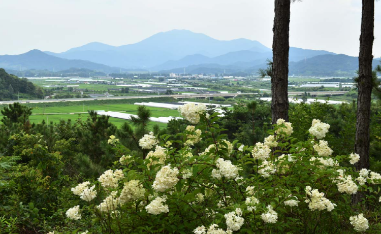 담양 죽화경