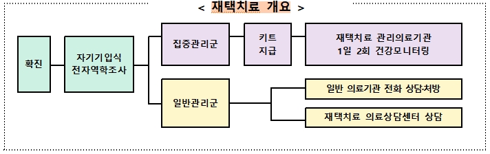 코로나 재택치료