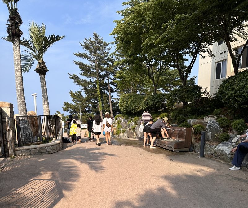 삼척 쏠비치