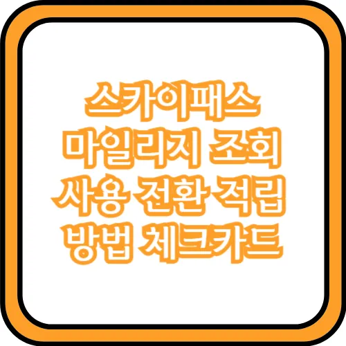 스카이패스 마일리지