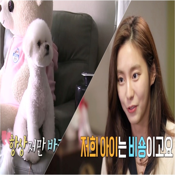  (나혼자산다)유이 반련견 망고