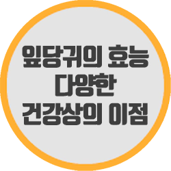  잎당귀의 효능과 다양한 건강상의 이점