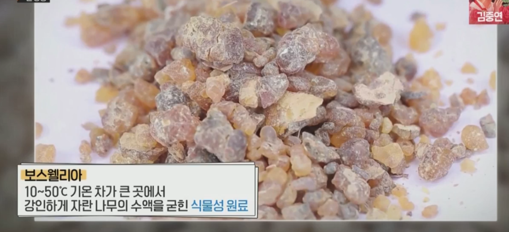  관절통증보스웰리아효능 엄지의제왕 3주만에 수술없이무릎관절통증잡는비법 보스웰리아부작용 관절건강통증완화보스웰리아복용섭취방법추천 532회 0404방송