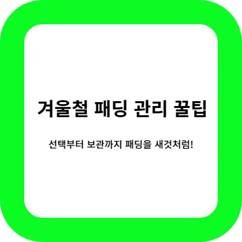 겨울철 패딩 선택과 관리 썸네일