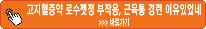 고지혈증약-로수젯정-리바로정2mg-조코정-메바로친정