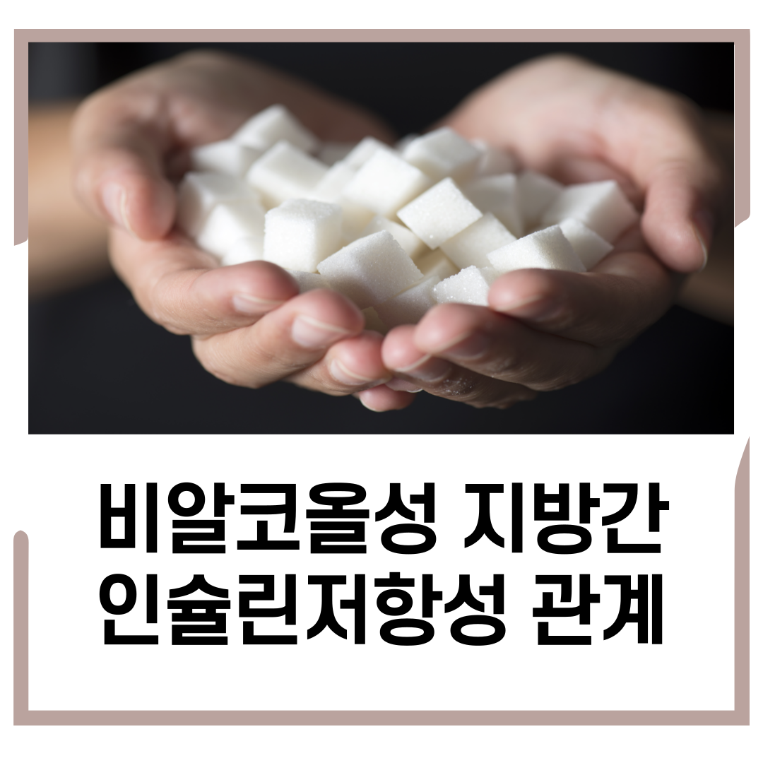  비알코올성 지방간과 인슐린 저항성